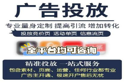 百度推广案例：精准广告投放策略解析